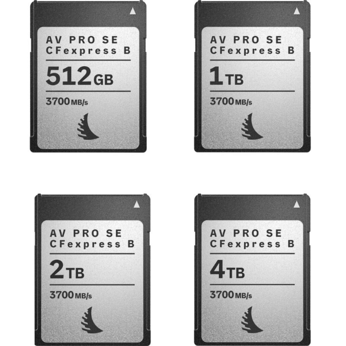 Buy Angelbird 1TB AV PRO CFexpress Type B SE UAE | SPOTX