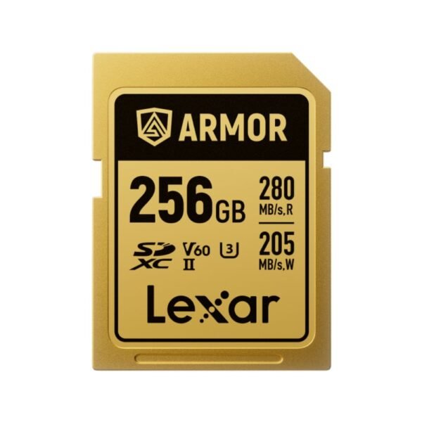Lexar LSDAMGL256G-RNNNG