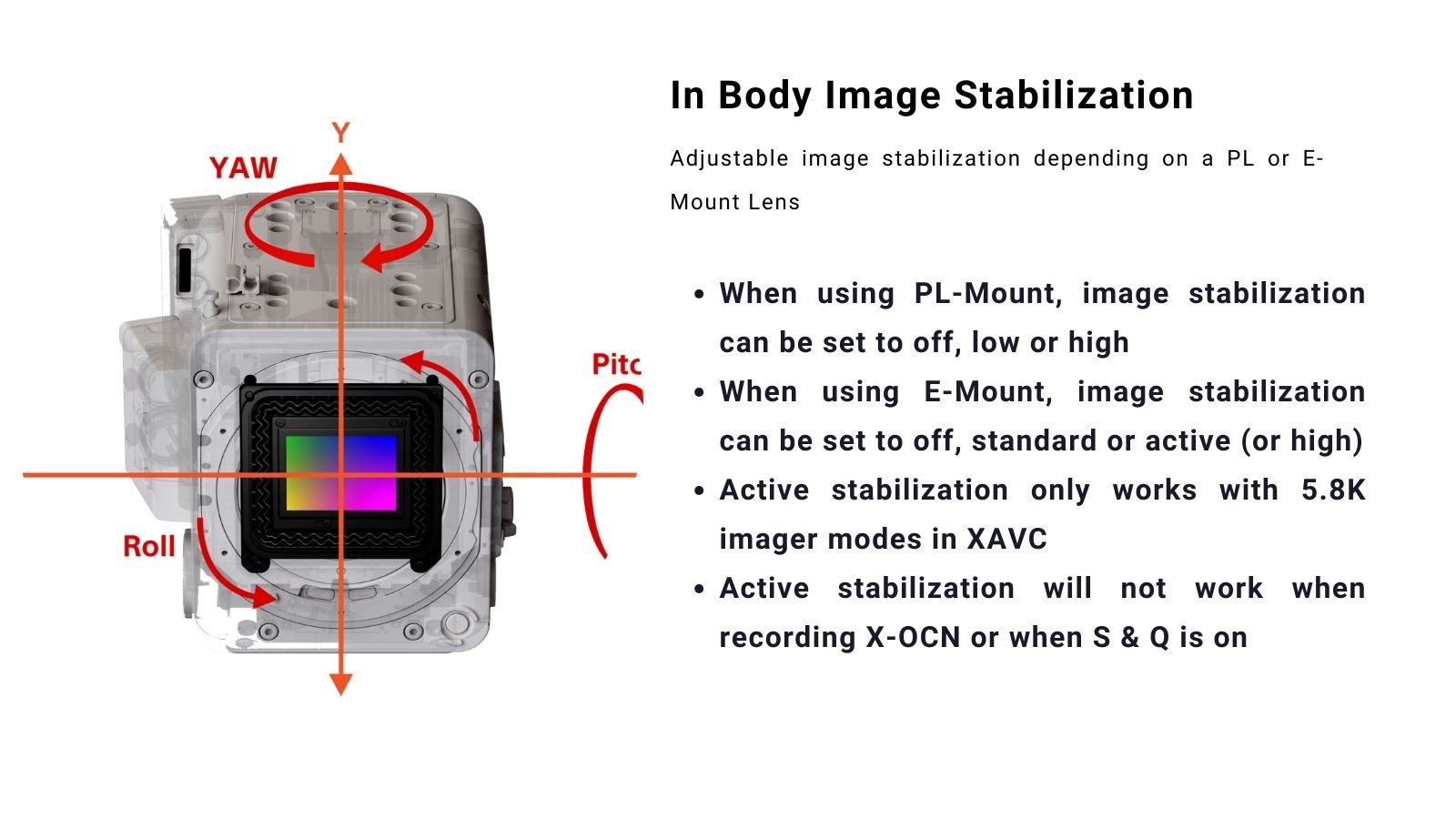 Sony In Body Image Stabilization